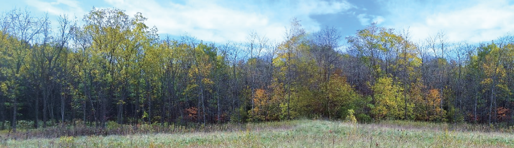 Prairie Island Indian Community North Elk Run Community Development and Fee-To-Trust Project